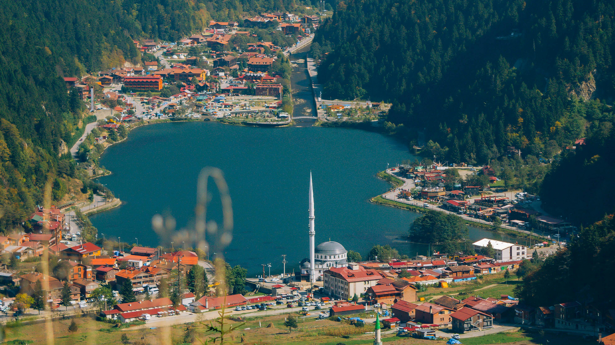 pexels ozgurbesli 18754594